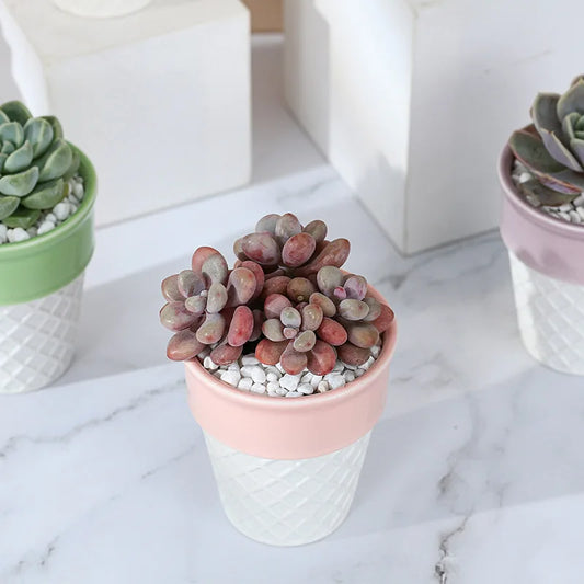 LuméPot keramische binnenpot set 3 stuks beige